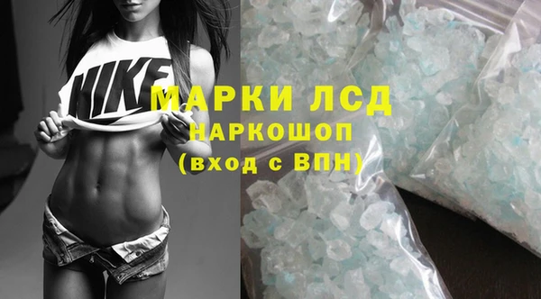сатива Алексеевка